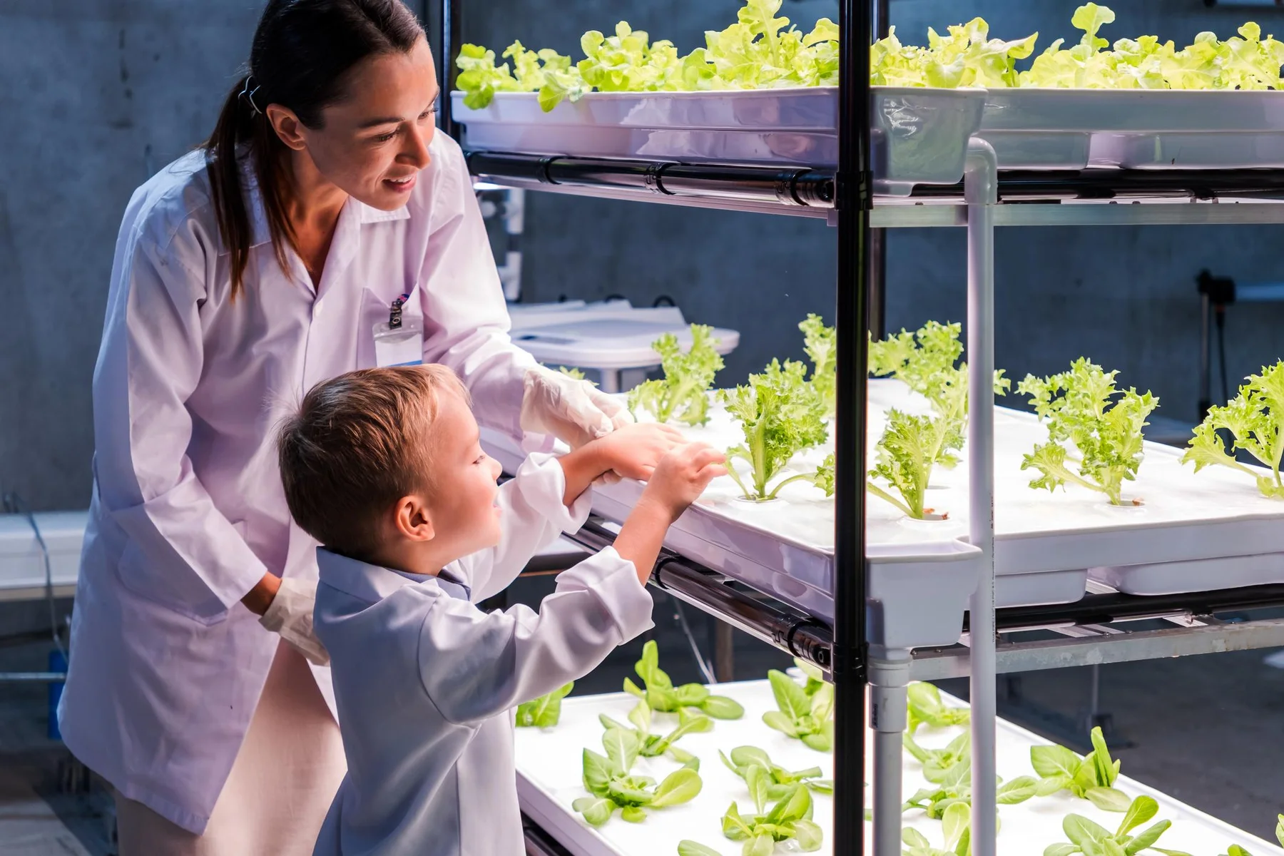 A teacher and student examining plants in a hydroponic learning laboratory