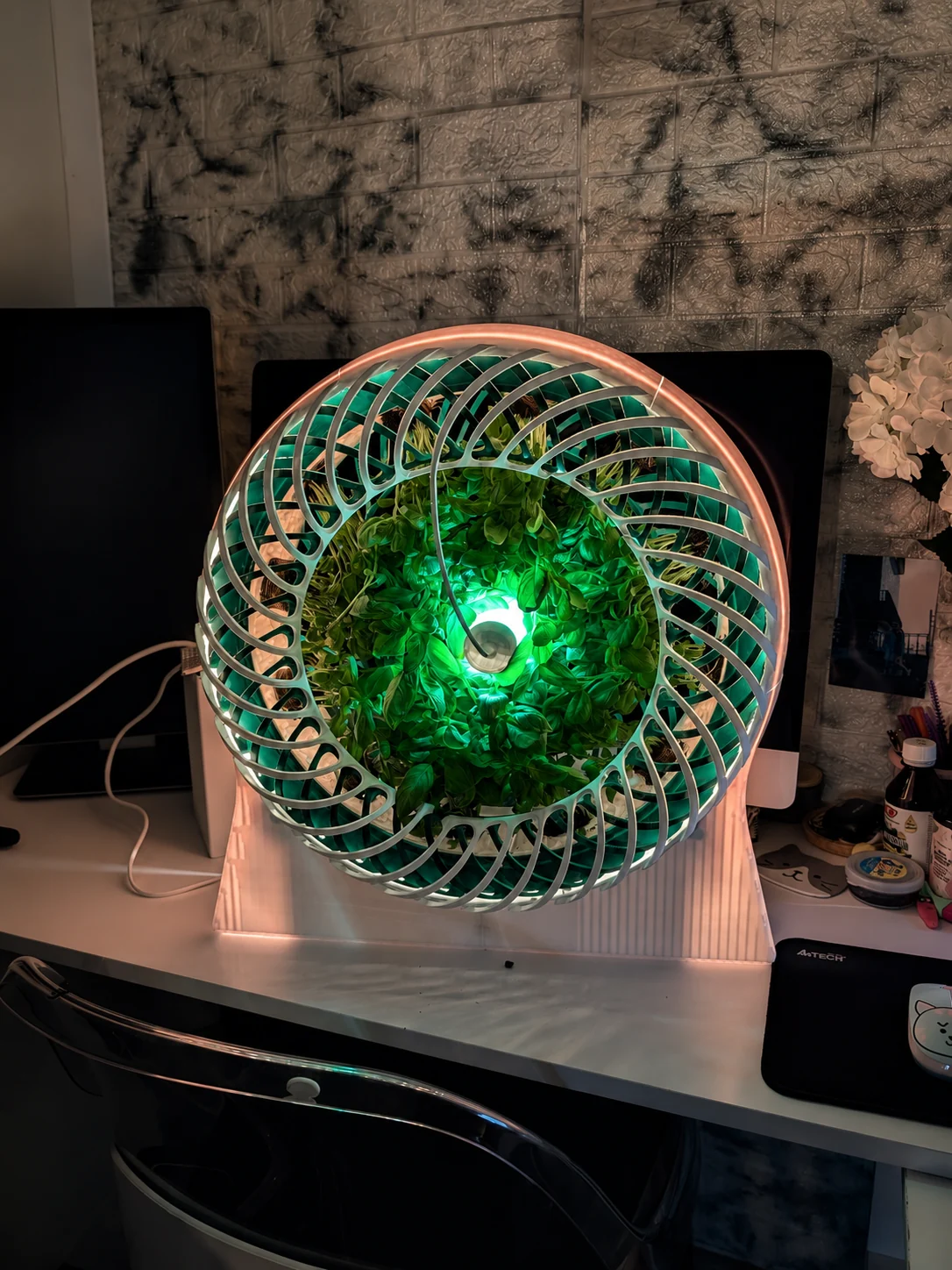 Front view of the working FlavoRotor prototype