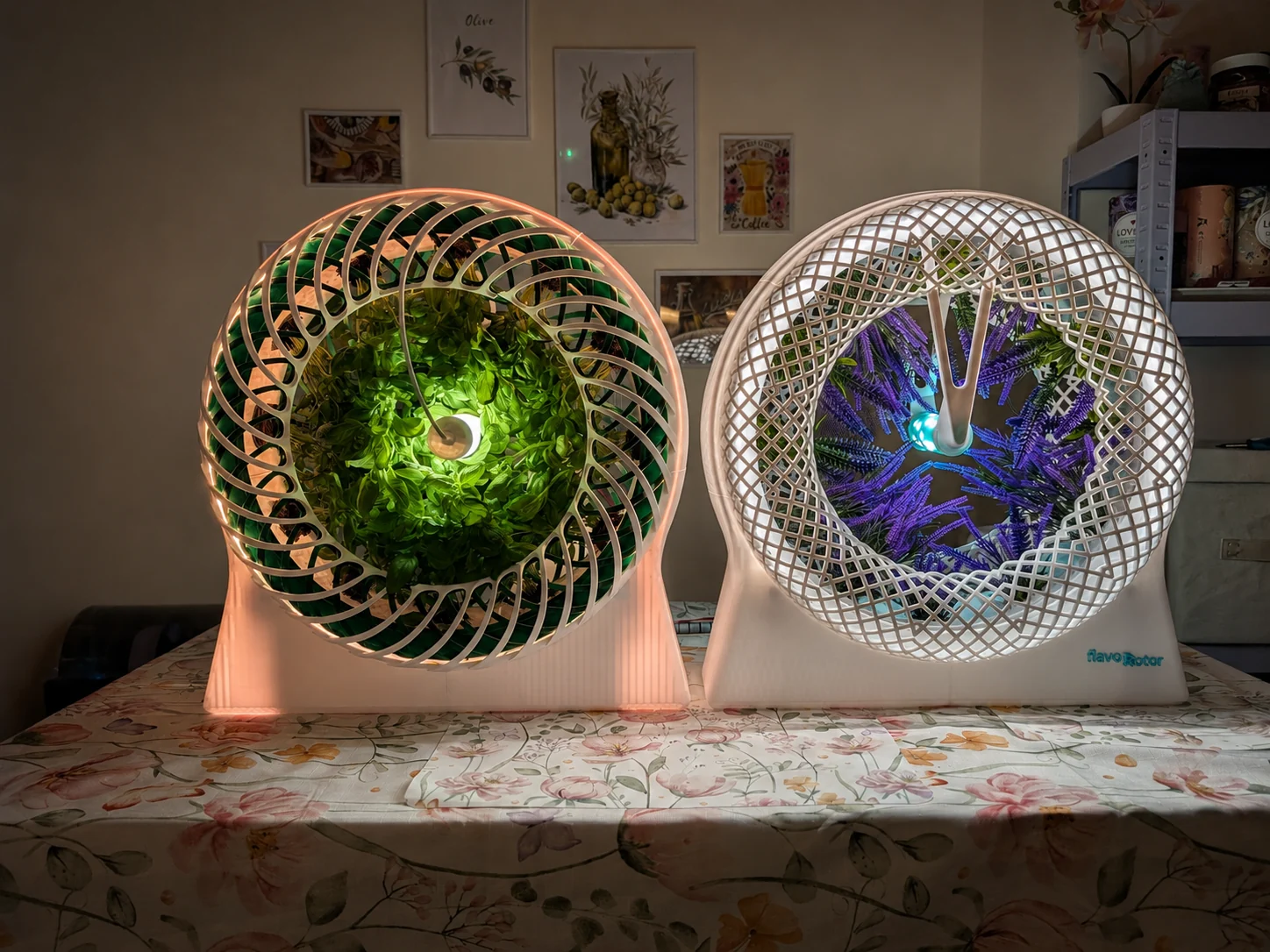 FlavoRotor — two illuminated rotating hydroponic prototypes growing basil and lavender