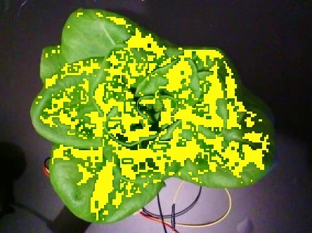 Non-irrigated · capture 1: PlantVillage Strawberry RGB example