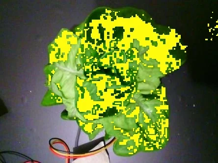Non-irrigated · capture 7: PlantVillage Strawberry RGB example